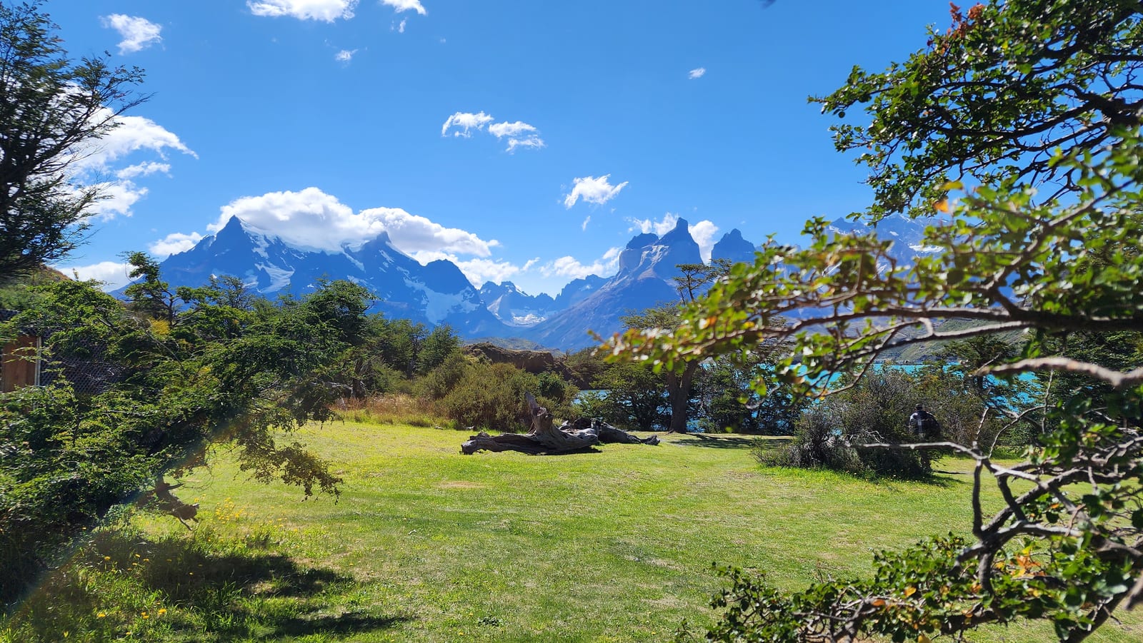 260113_chile_torresdelpaine_080.jpeg