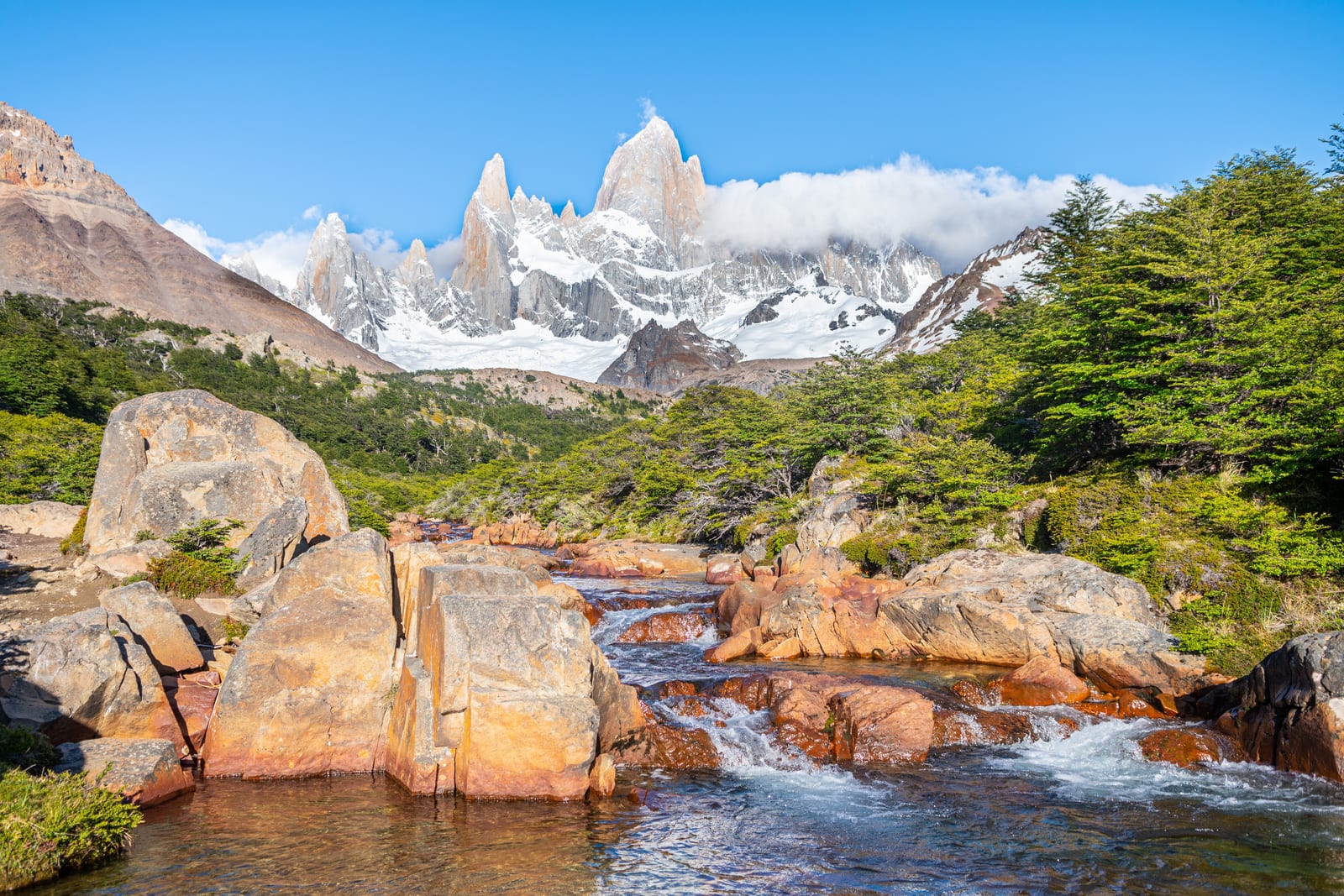 shutterstock_2237410447.jpg